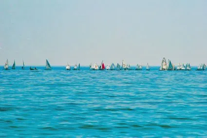 Sailboats on the open water